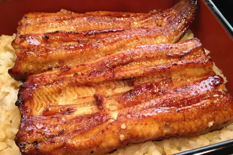 Glistening grilled eel, a star of many eel recipes, served over fluffy white rice in a traditional Japanese bento box.